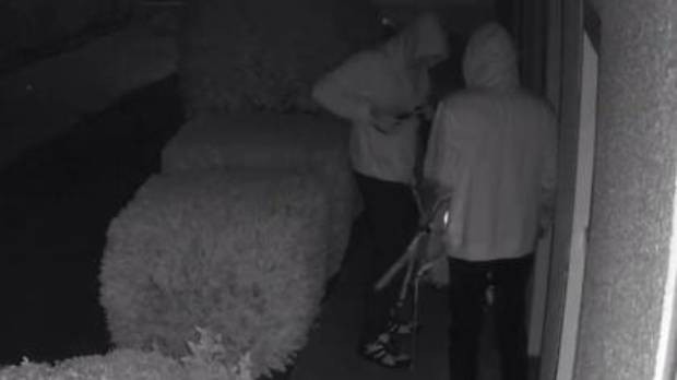 Police are appealing to the public to help identify these two vandals who broke into MP Gerry Brownlee's office early Monday morning.