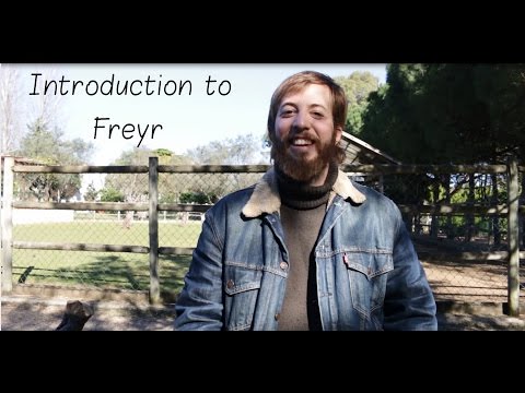 Introduction to: The God Freyr