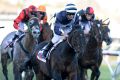 Luke Nolen on Supido wins the Monash Stakes at Caulfield Racecourse on Saturday, July 15, 2017. 