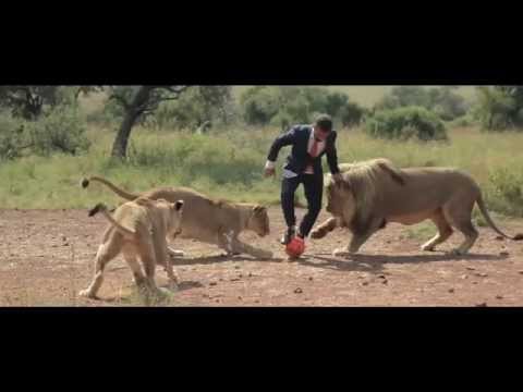 A world's first: Kevin Richardson playing football with wild lions (FULL VIDEO)