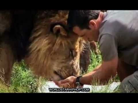 Kevin Richardson - Dangerous Companions