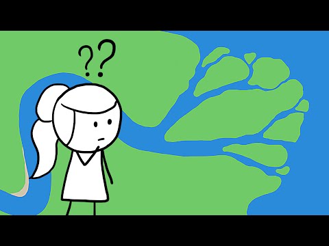 Why Do Rivers Have Deltas?