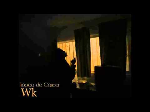 Wk - Trópico De Cáncer (Completo).