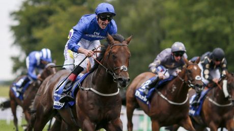 No Everest: Harry Angel takes the July Cup  at Newmarket but is unlikely to come Sydney 