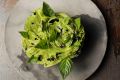 Iceberg lettuce with coconut, lime and charcoal.