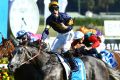 Everest favourite: Chautauqua wins the TJ Smith