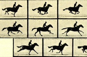 Stills from 'The Horse in Motion' or 'Sally Gardner at a Gallop' by Eadweard Muybridge, 1878. This 19th century film was ...