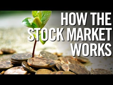 STOCK MARKET FOR DUMMIES 📈 How The Stock Market Works