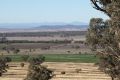 The government says Liverpool Plains farmlands are set to be protected further from the activities of Shenhua. 