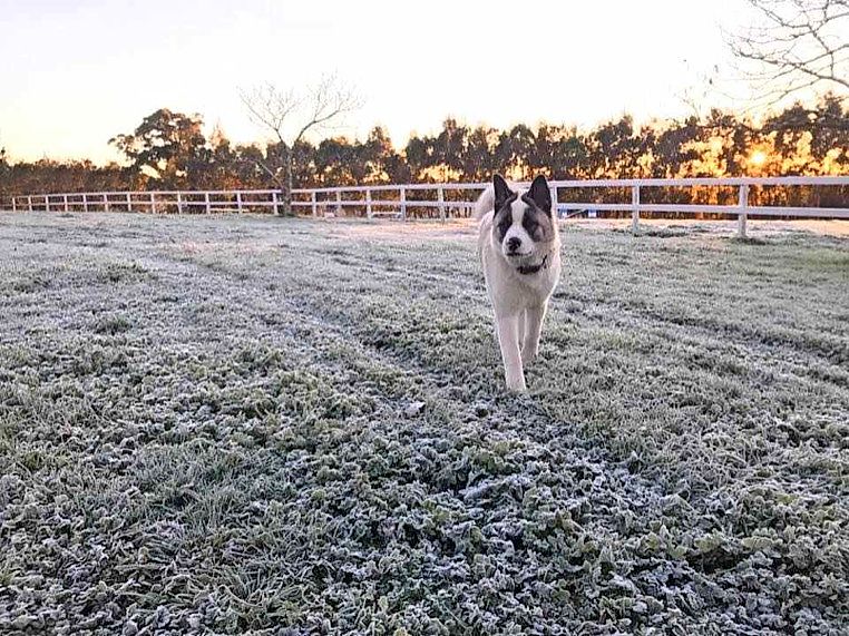 Photo: Damien Kremmen via Macedon Ranges weather