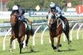 On the up: Jockey Tim Clark rides Insensata to win at Rosehill.
