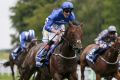 No Everest: Harry Angel takes the July Cup  at Newmarket but is unlikely to come Sydney 