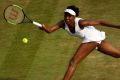 Open season: The women's title winner could come from anywhere, though the experience of veteran Venus Williams might ...