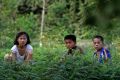 North Korean children look up from the side of a road on in Hamhung on Thursday.