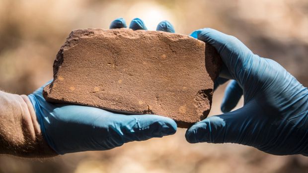 The discovery of this axe-head grindstone inside the Kakadu National Park has rewritten the history of Australia.