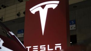 Tesla MotThe electric-car maker has seen its shares fall by almost 20 per cent since June 22.