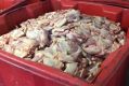 Chicken that was intended for sale at Bill's Chicken in Moorebank, in rusty and corroded bins.