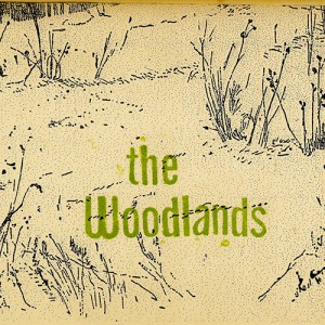 The Woodlands