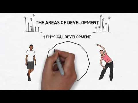 Children and Young People's Development