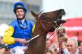 Weir magic: Brad Rawiller after riding Black Heart Bart to victory in the C.F.Orr Stakes at Caulfield.