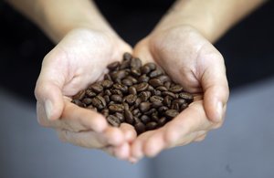 Barista Eviana Dan holds espresso beans at Millcreek Coffee Roasters during National Coffee Day, Tuesday, Sept. 29, 2015, in Salt Lake City.