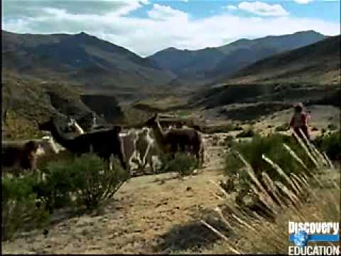 The Andes Mountain Region