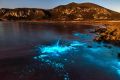 Algal bioluminescence captured on film in Tasmania.