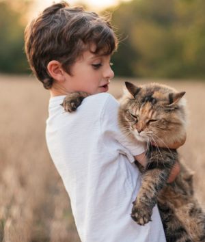 A young boy holding his cat in a field EMBARGOED FOR SUNDAY LIFE, JULY 23/17 ISSUE. cr: Stocksy (supplied image, no ...