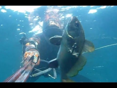 Spearfishing - Julian Iliev - BULGARIA - Into the paradise HD