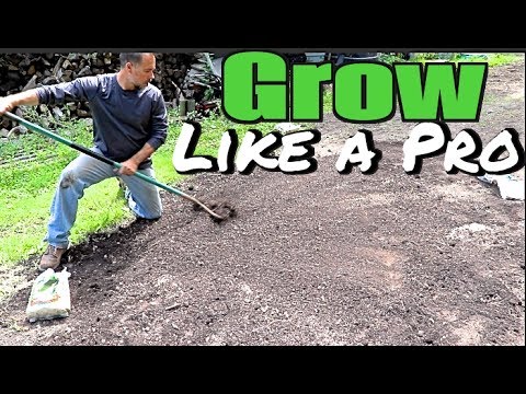 How to Plant a yard and grass seed like a pro -  Grow a new lawn, overseeding, yard & sod care tips