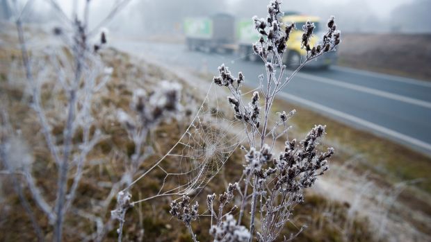 Canberrans woke up to a frosted city on Saturday.