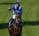 Ready to return: Hugh Bowman will be on Winx at the Randwick barrier trials on Monday.