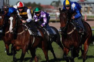 Beaten: Hugh Bowman rides Winx (right) during a barrier trial.