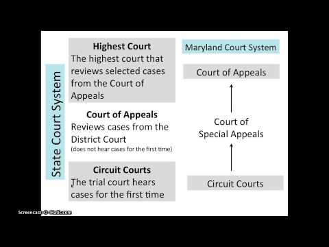 State and Federal Court Systems