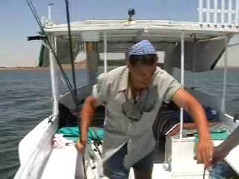 Angeln & fishing Nile Perch Aegypten Lake Nasser Nilbarsch Starring: Frank Knossalla