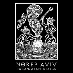 Norep Aviv - Parawaian Drugs (2017)