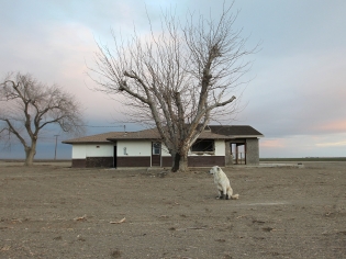 Rural American farmhouse