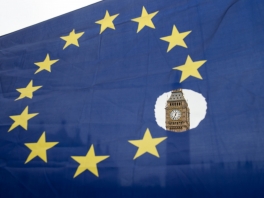 A pro-remain protester holds up an EU flag outside the Houses of Parliament.