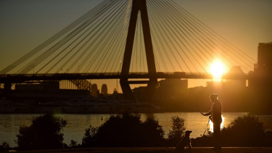 A woman trains a dog in Bicentennial Park at Rozelle Bay as the sun rises over Sydney.