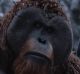 Karin Konoval and Amiah Miller in War for the Planet of the Apes.