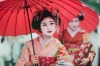 Maiko girls, Geisha apprentices, Kyoto, Japan.