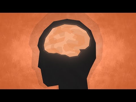 Top 10 Facts - Psychology