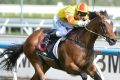 Lankan Rupee has a 50 per cent strike rate first-up from a spell.