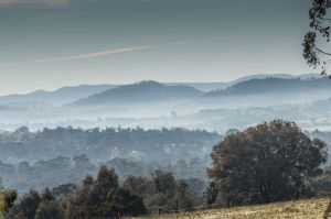 The view from Yackandandah.