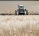 The fate of wheat prices can have an effect on geopolitical tensions.