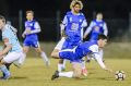 Canberra Olympic will chase a Capital Football title.