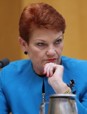 One Nation leader Pauline Hanson.