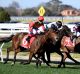 Jockey Ryan Maloney riding Every Faith (right)  wins the $100,000 Janet Brady Handicap at Caulfield.  