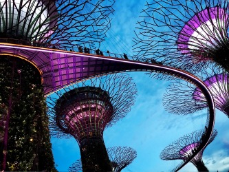 Standing in awe of these amazing techno-nature super trees in Gardens by the Bay in Singapore at twilight.
