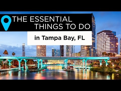 The Essential Things to Do in Tampa Bay, Florida